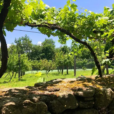 Дом отдыха Quinta Dona Manuela