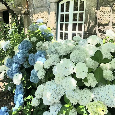 Quinta Dona Manuela Casa de Férias *