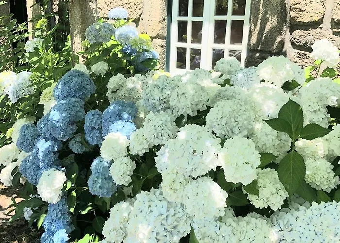 Quinta Dona Manuela Tatil Evi *